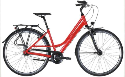 Gudereit Comfort 8.0