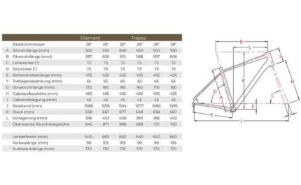 Raleigh Rushhour 1.0