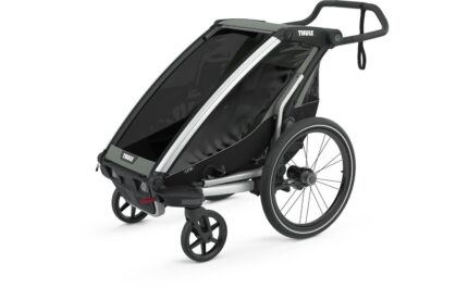 Thule Chariot Lite single